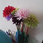Accogliente E Ospitale 3* 페루자