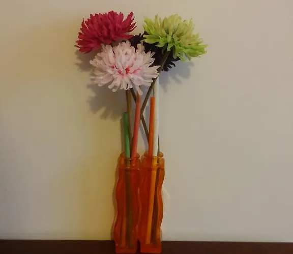 فندق مبيت وإفطار Accogliente E Ospitale 3*